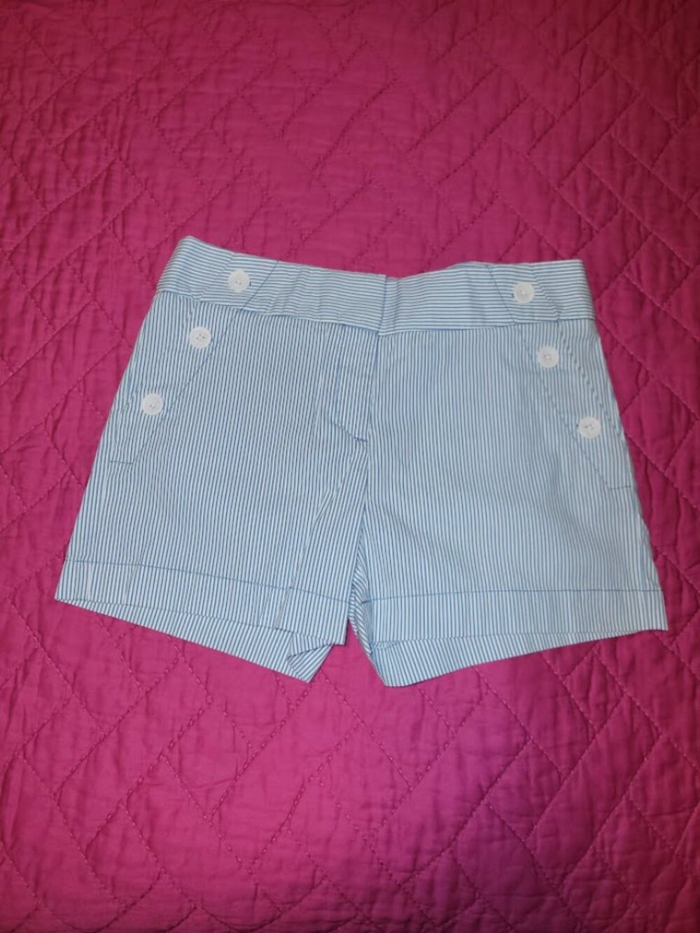 LOFT White and Blue Striped Shorts